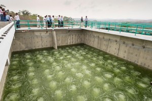 Inauguración de la Planta de Tratamiento de Agua Residual de Zicatela