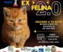 UABJO invita a la 2a., Expo Felina