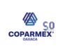 COPARMEX Oaxaca encabeza observación ciudadana ante irregularidades en el proceso de elección judicial.