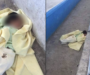 En Tabasco, una bebé fue abandonada en una unidad deportiva presuntamente por haber nacido con labio leporino.