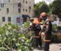 Protección Civil Municipal retira árbol caído y libera vialidad en la colonia Panorámicas del Fortín