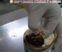 Aseguran cargamento con casi un kilo de ayahuasca procedente de Perú en el AICM