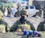 Incautan media tonelada de marihuana en Ecuador presuntamente ligada a “Los Lobos”