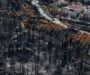 Incendio forestal en Grecia cumple ocho días y arrasa parte del parque nacional de Pindos
