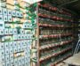El ruido y el consumo desmedido de electricidad delatan una granja clandestina de criptomonedas en Puebla