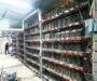 Más de mil equipos bajo investigación: amplían decomiso en granja de criptomonedas de Puebla