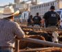 Ganaderos de Texas, Oklahoma y Kansas advierten que operativos de ICE podrían elevar el precio de la carne