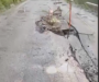 Se agrava hundimiento en la carretera Oaxaca-Tuxtepec; alertan por posible restricción a vehículos pesados