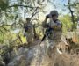 EU despliega cientos de militares en la frontera con México y Marina activa operativo espejo en Tamaulipas