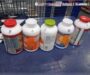 Aduanas asegura 8 mil 659 tabletas con sustancias controladas en el AICM; estaban ocultas en frascos de suplementos